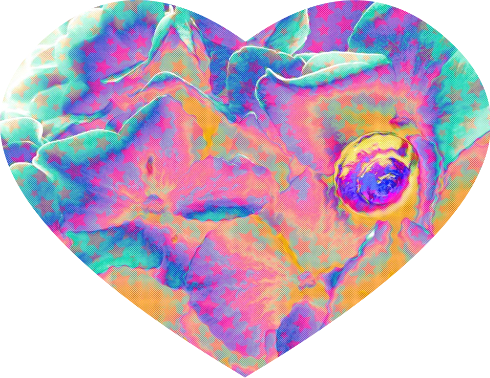 A heart shaped cut-out filled with an image of a solitary snail on a hydrangea, altered with stars and halftone patterns